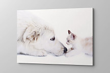 Obraz Mačiatko a pes 1562